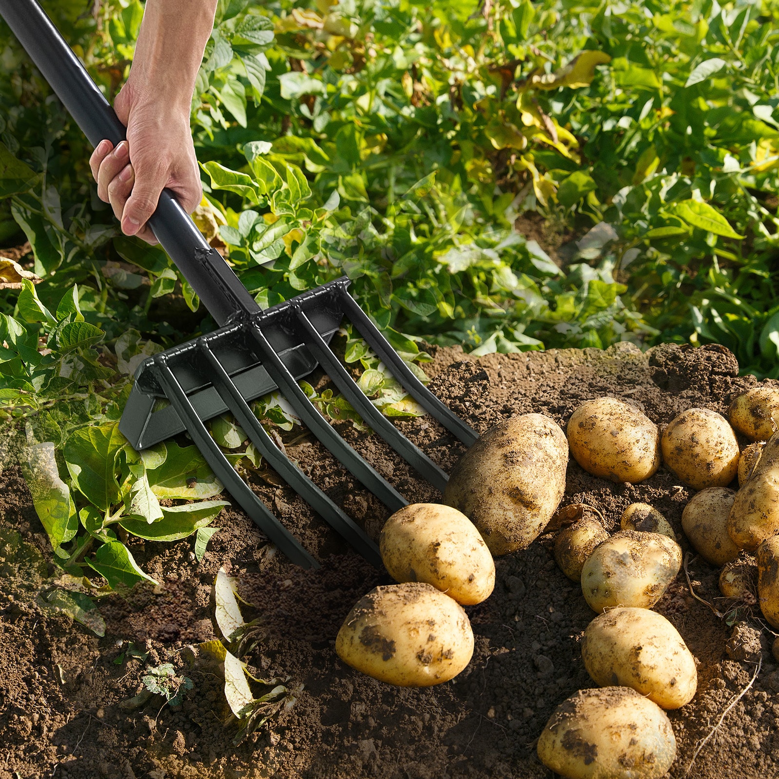 5 Tines Garden Fork Tool Metal Handle 41 In Spading Pitchfork Y Grip Heavy Duty_voghion.com